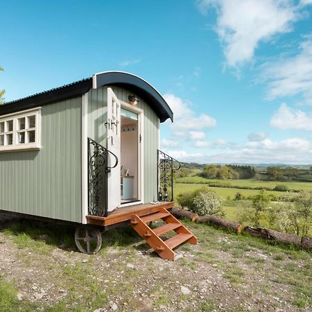 The Heron Shepherds Hut At Lyth Valley Brigsteer Esterno foto